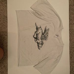 When Pigs Fly Crop Top